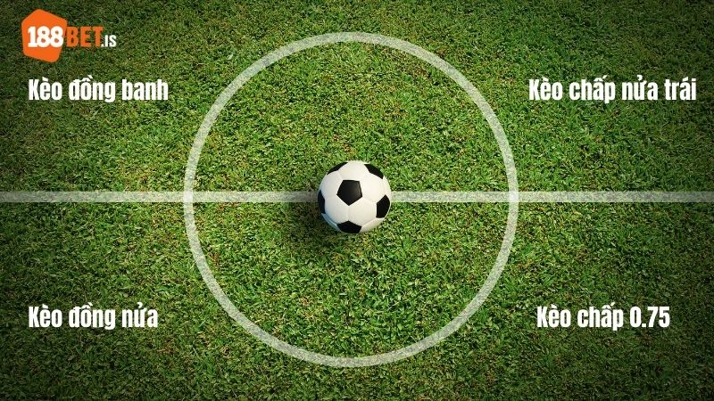 Tổng hợp các loại kèo Asian Handicap 188BET phổ biến